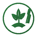 Senkeland Logo Animation